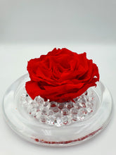 Load image into Gallery viewer, SMALL GLASS JAR EVERLASTING ROSE
