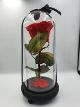 Load image into Gallery viewer, BEAUTY AND THE BEAST- EVERLASTING ROSE 22CM
