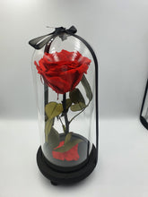 Load image into Gallery viewer, BEAUTY AND THE BEAST- EVERLASTING ROSE 22CM
