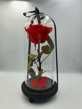Load image into Gallery viewer, BEAUTY AND THE BEAST- EVERLASTING ROSE 22CM
