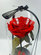 Load image into Gallery viewer, BEAUTY AND THE BEAST- EVERLASTING ROSE 22CM
